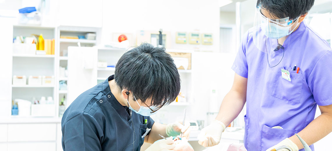 採用情報